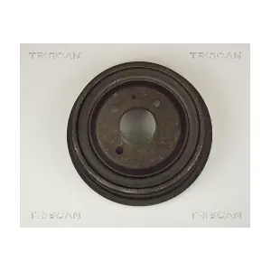 TRISCAN 812016210