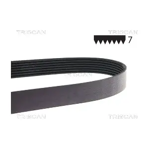 TRISCAN 8640 701125E
