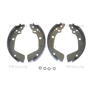 810069008 TRISCAN