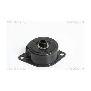 TRISCAN 8641293026