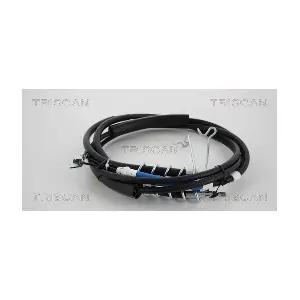 TRISCAN 8140161160