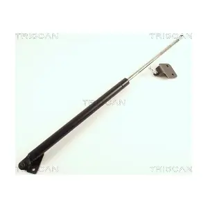 436017 TRISCAN