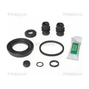 8170 204309 TRISCAN