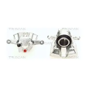 TRISCAN 8170 343212