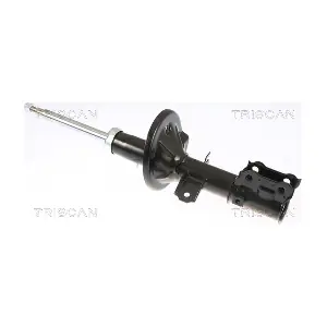 8705 43101 TRISCAN