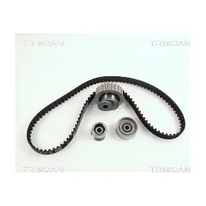 TRISCAN 8647 11003
