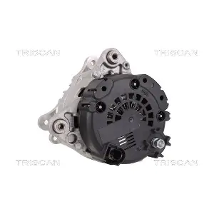 8310 29025 TRISCAN