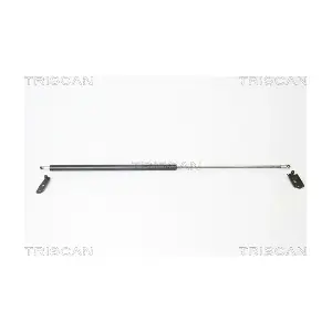 871013253 TRISCAN