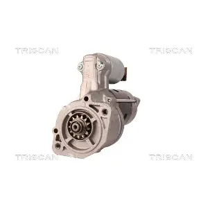TRISCAN 8305 17004