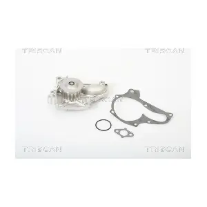 860013029 TRISCAN