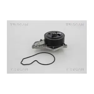 TRISCAN 860040116