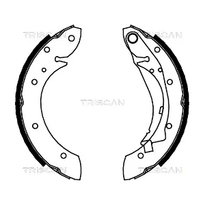 TRISCAN 810028598