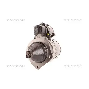 8305 10089 TRISCAN