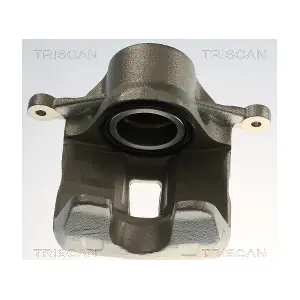 TRISCAN 8175 24117