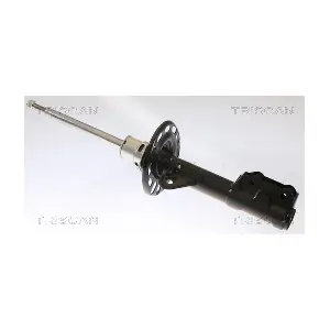 870540101 TRISCAN