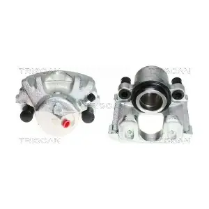 BC2029 TRISCAN