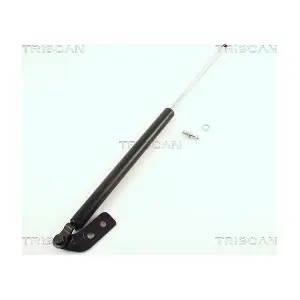 436013 TRISCAN