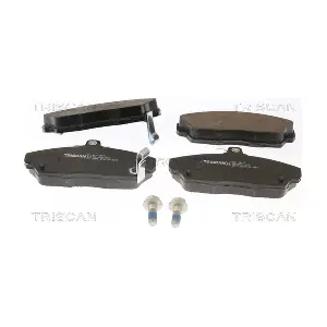 TRISCAN 811010013