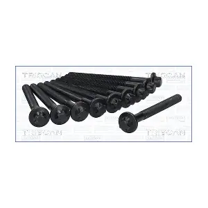 TRISCAN 98-6017