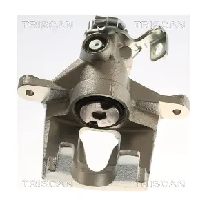 TRISCAN 8175 25213