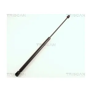 8710 16212 TRISCAN