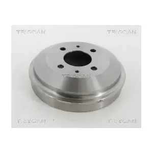 8120 43207 TRISCAN