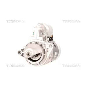 TRISCAN 8305 10033