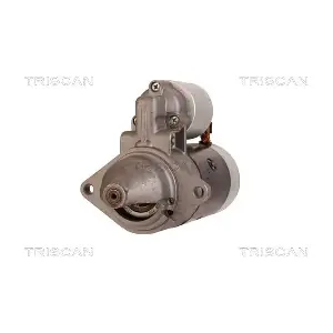 TRISCAN 8305 29025