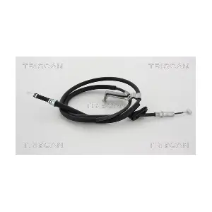 814040163 TRISCAN