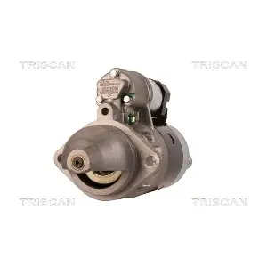 TRISCAN 8305 29010