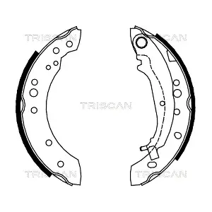 8100 42020 TRISCAN