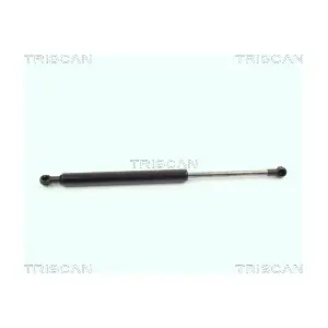8710-11104 TRISCAN