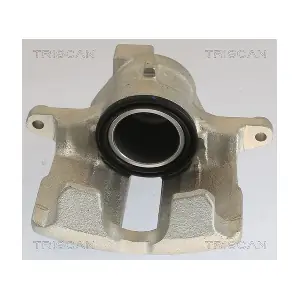 TRISCAN 8175 29108