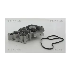 TRISCAN 860029061