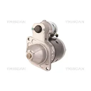 TRISCAN 8305 23011