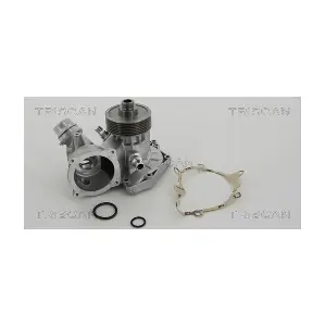 860011031 TRISCAN