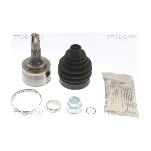 607747 TRISCAN