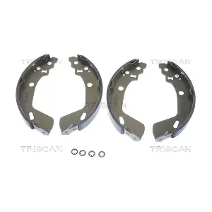 TRISCAN 8100 69009