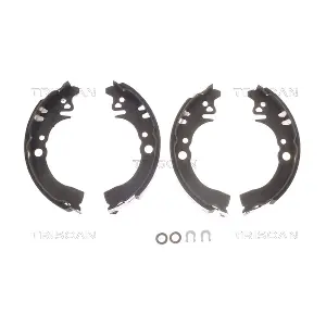 810041612 TRISCAN