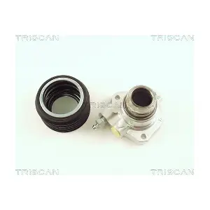8130 65300 TRISCAN