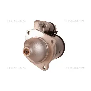 TRISCAN 8305 24004