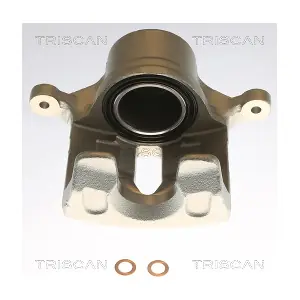 TRISCAN 8175 43106