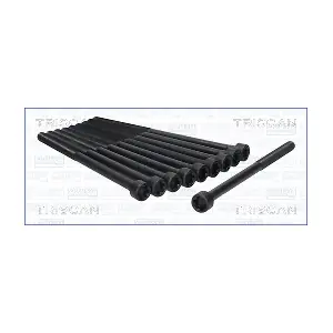 300250 TRISCAN