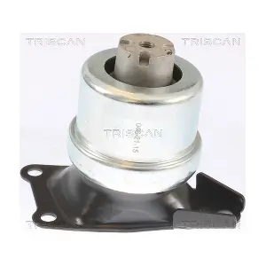 8505 29186 TRISCAN