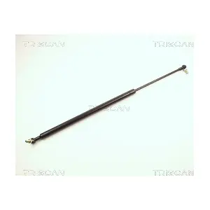 871013206 TRISCAN