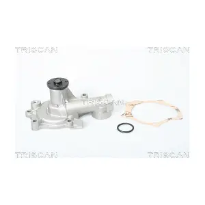 TRISCAN 860042938