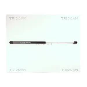 TRISCAN 8710 29207