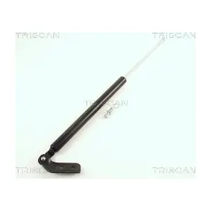 436012 TRISCAN