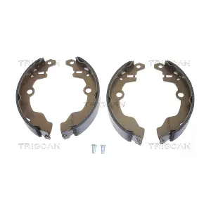 TRISCAN 810069567
