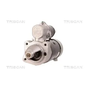 TRISCAN 8305 29036
